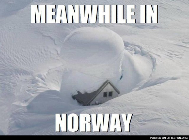 51cc76ccc856116276000009_736