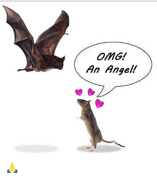 omg-an-angel-🙏-2353802